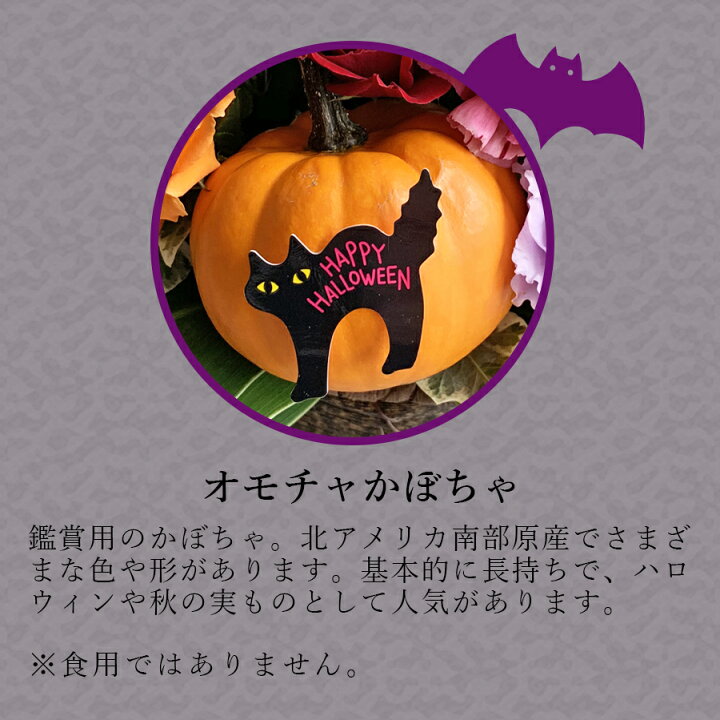楽天市場 ポイント2倍 100円クーポン 楽しい ハロウィン アレンジメント 誕生日 花 ハロウィーン ハロウィン 飾り かぼちゃ おもちゃかぼちゃ フラワーアレンジメント 誕生日 お見舞い 送料無料 花 雑貨フロレゾン