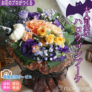 y10z nEB ԑ ̂܂܏ԑ X^fBOu[P nEB halloween ڂ  Ԍ  H I[^ aMtg ԑ a LO p[eB[ \