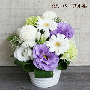 yt13z    Zbg 1000~ 4000~ ފ l\   O 13  SȂ  S  t[AWg   ԑ 낤