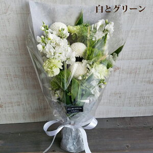 yt13z   AWg 5000~    O  l\ 13   d 䂨 V~     t[A