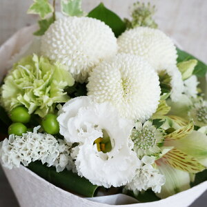 yt13z   AWg 5000~    O  l\ 13   d 䂨 V~     t[A