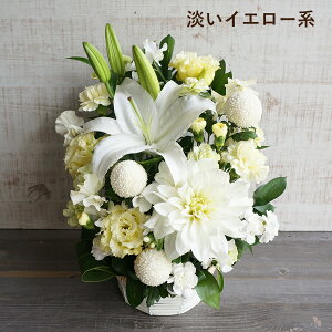    10000~ ԃMtg ފ  l\ @ O 1 ˌ S   t[ AWg ԑ   a m    @