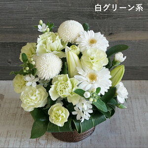 yt13z   AWg 5000~    O  l\ 13   d 䂨 V~     t[A