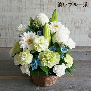    10000~ AWg ފ l\ @ O 1 ފ Q    AWg ԑ a m   Q @v @  