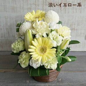    10000~ AWg ފ l\ @ O 1 ފ Q    AWg ԑ a m   Q @v @  