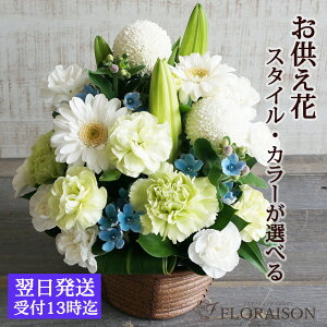 y①ցz ފ  t13   AWg 5000~    O  l\ 13   d 䂨 V~     