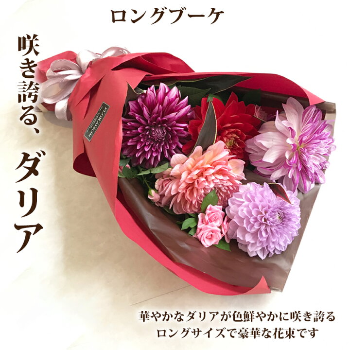 楽天市場 冷蔵便でお届け レッド ピンク ダリア花束 誕生日 ギフト 結婚記念日 ダリア 花束 ロングブーケ 送料無料 花 プレゼント 花 雑貨フロレゾン
