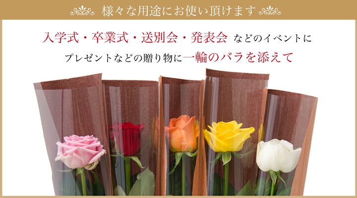 楽天最安値に挑戦】 バラ30本の花束 カラーが選べる5色 xn--krntner-pflege-service-04b.at