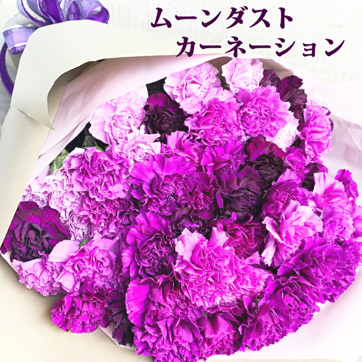 追い出す ロードされた 入力 カーネーション 花束 おしゃれ 提出する 作ります 栄光の