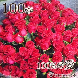 y  o ԑ 100{ z  v[g a v|[Y ỏԑ  KN ԃo Mtg v[g a 䈥A җ j 100  