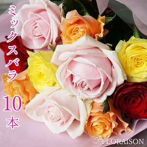 y낢ȐF̃oŉԑz~bNXF oԑ o10{y KNԑ a LO 10N j } ʉ 