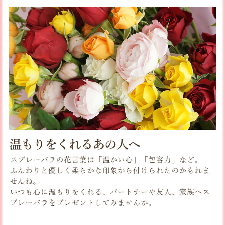 楽天市場 ミニバラの花束 15本 スプレーバラ 花束 誕生日 ギフト プレゼント 花 生花 バラ 薔薇 送料無料 女性 ギフト 歓迎会 送別会 薔薇花束 結婚婚記念日 卒園 卒業 発表会 入学式 自宅用 花 雑貨フロレゾン