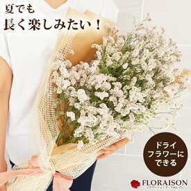 楽天市場 スターチス 花束 切花 花 観葉植物 花 ガーデン Diyの通販