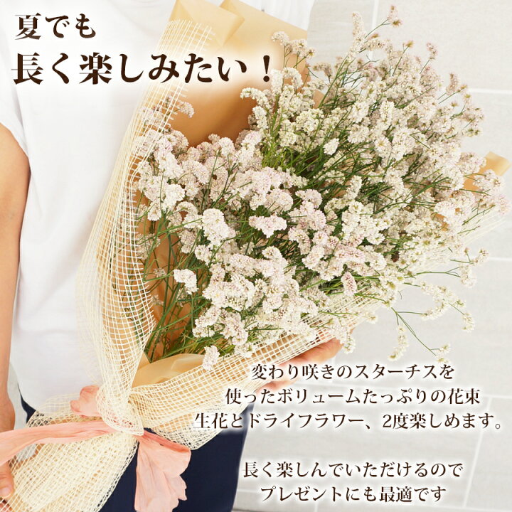 楽天市場 夏での花を楽しみたい ハイブリッド スターチス 縦長 花束 ナチュラルピンク 誕生日 結婚記念日 お祝い 結婚祝い ブーケ 花 生花 紙婚式 綿婚式 花婚式 鈴婚式 自宅 花 雑貨フロレゾン