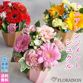 【冷蔵便代440円サービス中】 ミニ アレンジメント 【シュクル】 ひまわり ミニアレンジ 3色から選べる 可愛い アレンジメント 花 ギフト 花ギフト 誕生日ギフト 誕生日プレゼント 楽天 誕生日 女性 送別会 記念品 プチギフト ペットお供え フラワーアレンジメント 生花