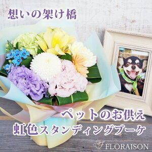 ybg  ̋ FX^fBOu[P   ԕrsv ~  ފ     SȂ  蕨   ybg  ̂܂܏ԑ pet