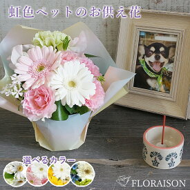 ＼ポイント3倍／ペット お供え花 虹の橋 ミニ 虹色アレンジ 【 ペット お供え 花 花瓶不要 命日 お彼岸 お盆 三回忌 自宅 犬 猫 花 生花 お悔やみ そのまま飾れる花束 pet 】