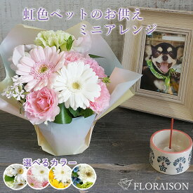 【即日発送受付13時迄】 ペット お供え花 虹色 ミニ アレンジ 虹の橋 ペット 亡くなっ た 花 お悔やみ お花 お供え 花 花瓶不要 命日 お盆 三回忌 自宅 犬 贈り物 猫 花 生花 犬 が 亡くなった 贈り物 お悔やみ そのまま飾れる花束 pet