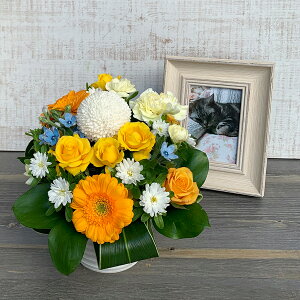 【可愛いペットへありがとう】ペット お供え 花 アレンジメント お盆 お彼岸 ペット お供え 花 即日 フラワーアレンジメント ペットロス 癒しのアレンジメント 犬 ネコ 花 生花 お悔やみ 花
