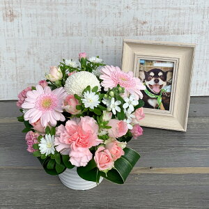 yybgւ肪Ƃzybg   AWg ~ ފ ybg    t[AWg ybgX ̃AWg  lR     