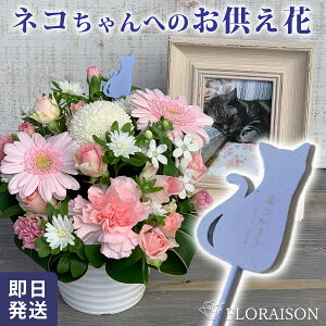 ylRɂ肪ƂāzlR sbNt  AWg ݂̉ ފ  L  L Lbg lR  ybgp  ̂܂܏