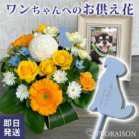 ＼ポイント3倍／【愛犬のお悔やみに】ペット お供え花 アレンジメント 犬 ピック付 【 お彼岸 お供え アレンジメント ペット 犬 花 生花 ペットお供え ペット お悔やみ 花 即日 ゴールデンレトリバー ドッグ pet