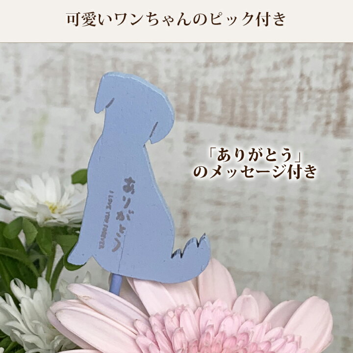 楽天市場 冷蔵便でお届け 愛犬のお悔やみに ペット お供え花 アレンジメント ワンチャンのピック付 お供え アレンジメント ペット 犬 花 生花 ペットお供え ペット お悔やみ 花 即日 ゴールデンレトリバー ドッグ 花 雑貨フロレゾン