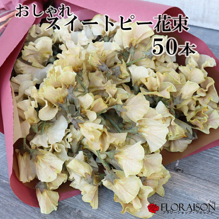 楽天市場 めずらしい色のスイートピー グレイシュカラー ブラウンイエロー スイートピー 花束 50本 おしゃれ ブーケ 花 アンティーク スイトピー 誕生日 卒業式 送別会 ホワイトデー お返し 花束 送料無料 誕生日プレゼント 入学 お祝い 女性 彼女 花 雑貨 楽天市場 めずらしい色のスイートピー グレイシュカラー ブラウンイエロー スイートピー 花束 50本 おしゃれ ブーケ 花 アンティーク スイトピー 誕生日 卒業式 送別会 ホワイトデー お返し 花束 送料無料 誕生日プレゼント 入学 お祝い 女性 彼女 花 雑貨