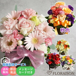 Vyt13z L[g AWg ԃMtg o  av[g  H vw̓ NX}X t [AWg ؂₩ a  LO 