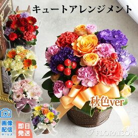 【冷蔵便】 キュート アレンジメント 敬老の日 敬老の日ギフト 誕生日プレゼント花ギフト バラ 女性 花 お祝い 送別会 花 おしゃれな花 フ ラワーアレンジメント 華やか 誕生日祝い 結婚記念日 お供え 開店祝い 花 フラワーギフト 還暦 妻 生花