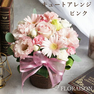 V t13 y LOɈYāz2^Cv 4FIׂL[gAWg^̂܂܏ ԑ X^fBOu[P NX}X  LO v[g  