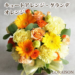 Vyt13z o4FIׂ L[gAWg Of av[g NX}X vw̓ v[g  LO a JXj  t[A