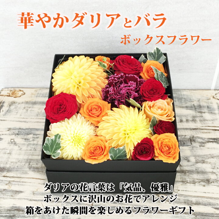 楽天市場 冷蔵便でお届け 華やか存在感あるダリア オレンジ ダリアとバラ ボックス フラワーアレンジメント 誕生日ギフト 結婚記念日 おしゃれ 黄色 ダリア 箱 ギフト 送料無料 ボックスフラワー そのまま飾れる 生花 プレゼント 誕生日 花 雑貨フロレゾン