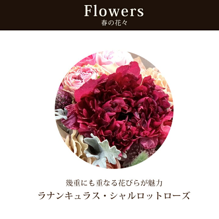 楽天市場 フリルのような花びら 特別なラナンキュラス レットル ダムール 花のラブレレター 誕生日 結婚記念日 ホワイトデー 花束 花 ギフト ラブレター 仲直り 男性から女性に贈る 花 雑貨フロレゾン