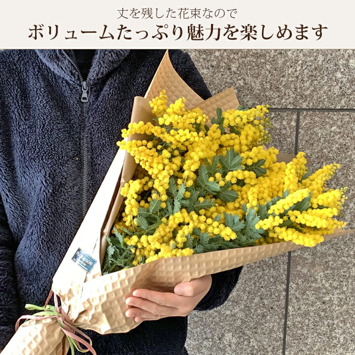 楽天市場 ミモザ 生花 花束 ロングブーケ 生花からドライフラワーを楽しめるミモザ スワッグ ミモザ花束 花 発送期間2 14 3 10限定 花 雑貨フロレゾン