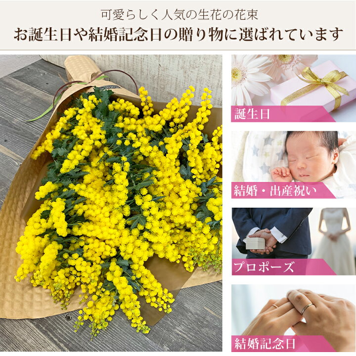 楽天市場 ミモザ 生花 花束 ロングブーケ 生花からドライフラワーを楽しめるミモザ スワッグ ミモザ花束 花 発送期間2 14 3 10限定 花 雑貨フロレゾン