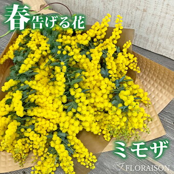 楽天市場 フラワーギフト専門店バラ風呂 花束 阪神タイガース花束 母の日 花 雑貨フロレゾン トップページ 楽天市場 フラワーギフト専門店バラ風呂 花束 阪神タイガース花束 母の日 花 雑貨フロレゾン トップページ