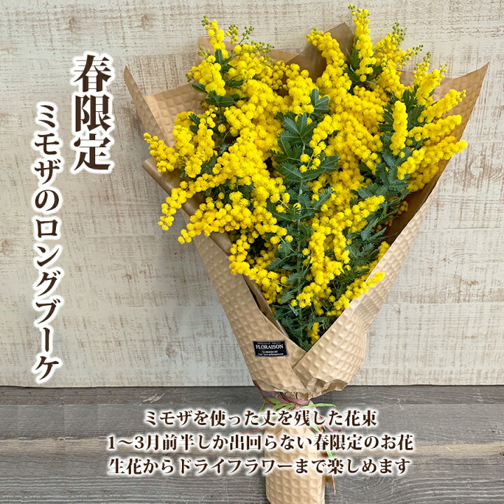 楽天市場 ミモザ 生花 花束 ロングブーケ 生花からドライフラワーを楽しめるミモザ スワッグ ミモザ花束 花 発送期間2 14 3 10限定 花 雑貨フロレゾン
