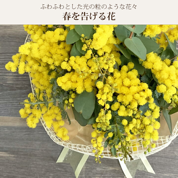 楽天市場 ミモザ 生花 花束 スタンディングブーケ 誕生日ギフト 花 春 そのまま飾れる花束 花瓶不要 そのままブーケ ミモザ花束 ホワイトデー 発送期間2 14 3 10限定 花 雑貨フロレゾン