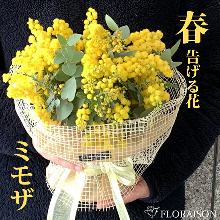 楽天市場 ミモザ 生花 花束 スタンディングブーケ 誕生日ギフト 花 春 そのまま飾れる花束 花瓶不要 そのままブーケ ミモザ花束 ホワイトデー 発送期間2 14 3 10限定 花 雑貨フロレゾン