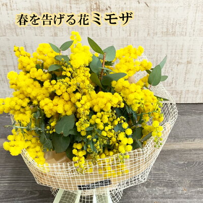 楽天市場 ミモザ 花束 スタンディングブーケ 発送期間3 8 3 10 生花 花 そのまま飾れる花束 花瓶不要 そのままブーケ ミモザ花束 花 雑貨フロレゾン