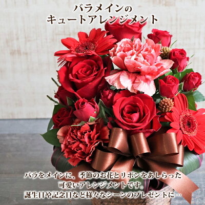 楽天市場 結婚記念日に愛情を開花 バラ4色から選べるキュートアレンジメント 結婚記念日 プレゼント 妻 奥様 30代 両親 夫 花 バラ 薔薇 結婚 記念日 紙婚式 花婚式 金婚式 そのまま飾れる 仲直り サプライズギフト あす楽対応 花 雑貨フロレゾン