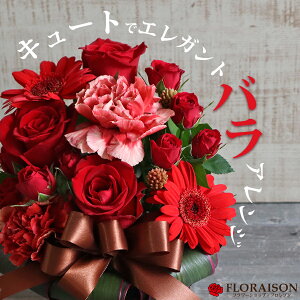 y ԃo L[g AWgzNX}X Mtg av[g  a LO  o[Xf[ Mtg JXj  bh KN  ԃMtg  t[ A