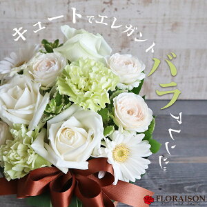 t13 y LOɈYāz2^Cv 4FIׂL[gAWg^̂܂܏ ԑ X^fBOu[P NX}X  LO v[g  3N