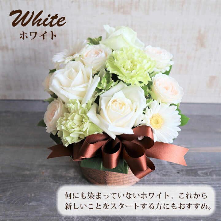楽天市場 結婚記念日に愛情を添えて バラ4色から選べるキュートアレンジメント 結婚記念日 プレゼント 10周年 周年 妻 奥様 30代 両親 夫 花 バラ 薔薇 結婚 記念日 紙婚式 花婚式 金婚式 そのまま飾れる 仲直り サプライズギフト 花 雑貨フロレゾン