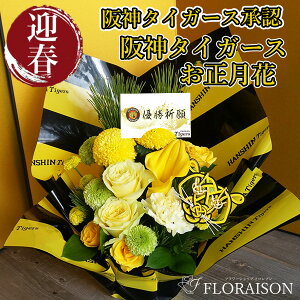 ywɂ͂z DF J[ht   _^CK[X   AWg _^CK[X ObY   t[ }tAWg _^CK[X g t 