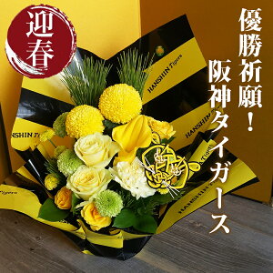 N   _^CK[X   AWg 2026NDF肵āI _^CK[X ObY   t[ }tAWg _^CK[X g t  