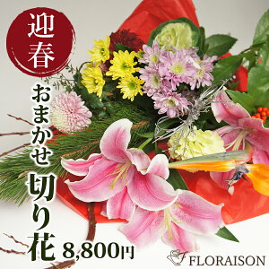 2025N ؉  ؉ 8000~  ͂wOK@؉ԃZbg@Nzԁ@}tt[