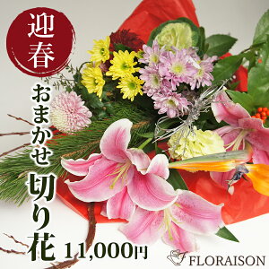  ؉  10000~@]ɂ͂@؉ԃZbg  }tt[NzԃZbg