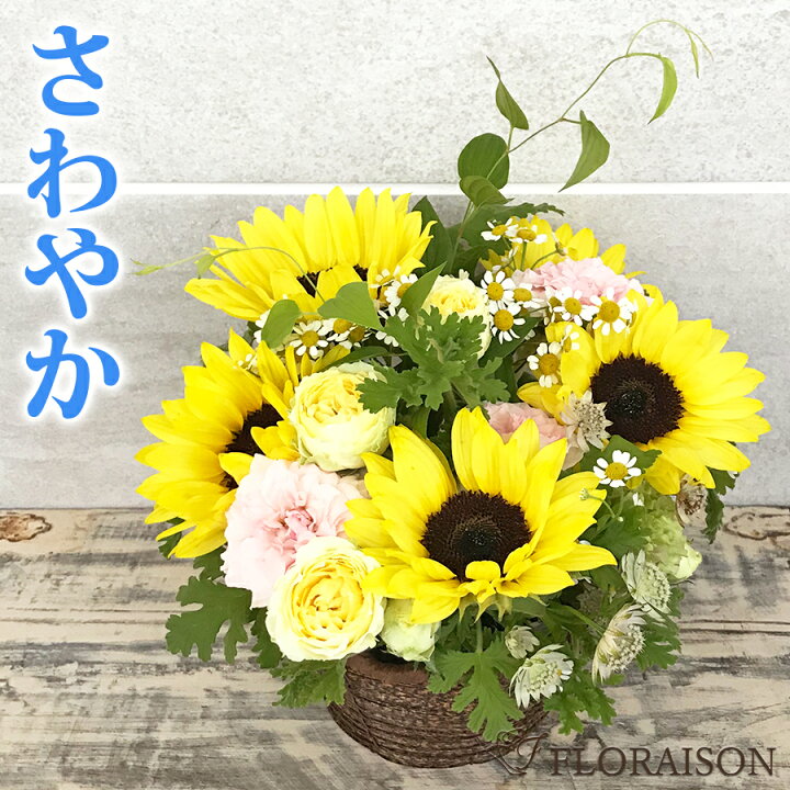 楽天市場 元旦限定11 Offクーポン 冷蔵便でお届け 夏 誕生日 祝い 花 ひまわり フレッシュ アレンジメント 5000円 誕生日 ギフト プレゼント 送料無料 花 ヒマワリ ピンクバラ 薔薇 向日葵 誕生日 結婚記念日 ピアノ発表会 お中元 サマーギフト さわやか